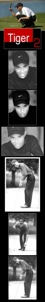 TIGER WOODS